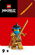 LEGO Ninjago™