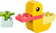30673 - LEGO DUPLO Első kacsám