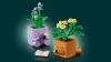 10371 - LEGO Botanicals - Kuckózós növények