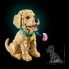 11384 - LEGO Icons - Golden retriever kutyus