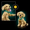 11384 - LEGO Icons - Golden retriever kutyus
