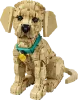 11384 - LEGO Icons - Golden retriever kutyus