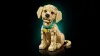 11384 - LEGO Icons - Golden retriever kutyus
