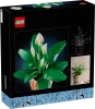 11504 - LEGO Botanicals - Vitorlavirág