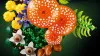 11505 - LEGO Botanicals - Erdei gombák