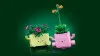 11506 - LEGO Botanicals - Hintázó növények