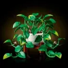 11512 - LEGO Botanicals - Szobai futóka