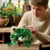 11512 - LEGO Botanicals - Szobai futóka