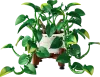 11512 - LEGO Botanicals - Szobai futóka