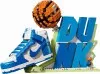 43008 - LEGO Icons - Nike Dunk x LEGO® Set
