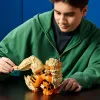 72160 - LEGO Pokémon™ - Arcanine
