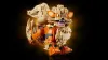 72160 - LEGO Pokémon™ - Arcanine