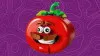 77079 - LEGO Fortnite® - Tomatohead