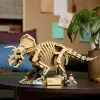 77985 - LEGO Jurassic World™ - Dinoszaurusz maradványok: Triceratops