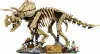 77985 - LEGO Jurassic World™ - Dinoszaurusz maradványok: Triceratops